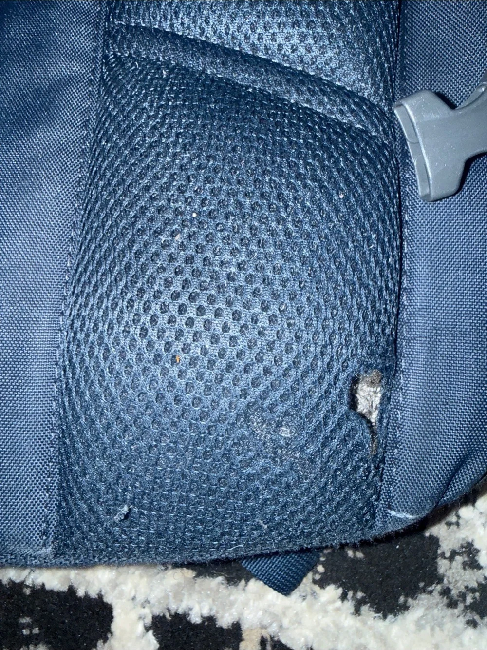 The North Face (Pivioter) Dark Blue Backpack with White Logo